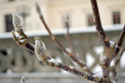 Lund in winter