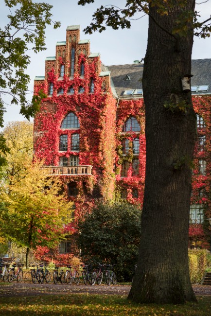 The university library